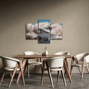 Tablou - pomi înfloriți în Asia (90x60 cm)