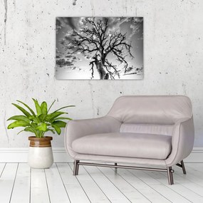 Tablou pe sticlă - Copacul, alb-negru (70x50 cm)