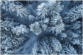 Tablou - Pădure înzăpezită (90x60 cm)