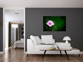 Tablou cu floare roz (90x60 cm)