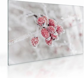 Tablou pe sticlă - Fructe congelate (70x50 cm)