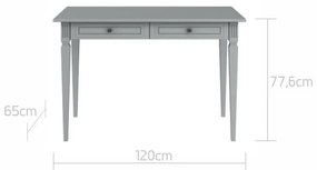 Birou pentru copii Ines gri L120 cm
