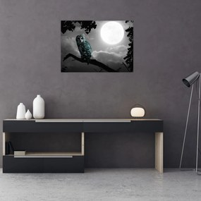 Tablou pe sticlă - Bufniță de noapte, albastru (70x50 cm)
