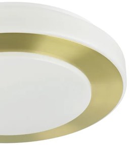 Plafonieră LED pentru baie CARPI LED/10,8W/230V IP44 Eglo 900369