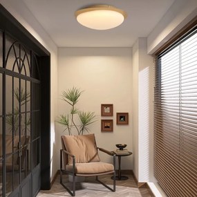 Brilagi - Plafonieră VISBY WOOD LED, 18 W, 230 V, Ø 38 cm, maro