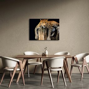 Tablou - Ghepard (70x50 cm)