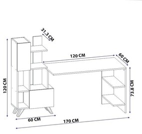 Birou Alis  cu Biblioteca cu usi si rafturi, Alb, 170 x 120 x 60 cm