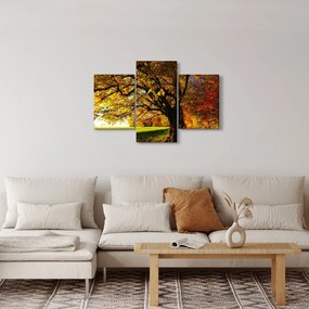 Tablou cu copac toamna (90x60 cm)