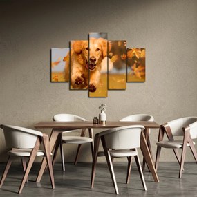 Tablou - Golden Retriever (150x105 cm)