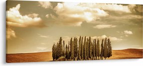 Tablou cu luncă (120x50 cm)