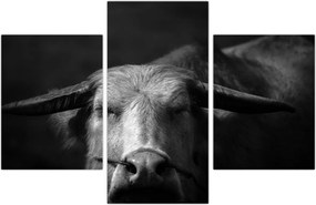 Tablou - Vacă (90x60 cm)