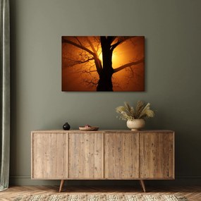 Tablou cu copac în apus de soare (90x60 cm)