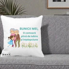 Cadou pentru Bunici - Perna Personalizata Bunicii Mei Comoara Iubire Intelepciune Nepoata, 40x40 cm, Alba Mata, Husa Detasabila, Perna Inclusa, BEKZ®