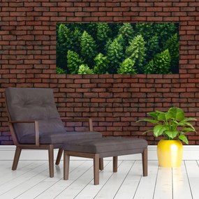 Tablou - Pădure (120x50 cm)