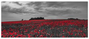 Tablou cu maci (120x50 cm)