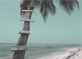 Tablou pe sticlă - Palma în Caraibe (70x50 cm)