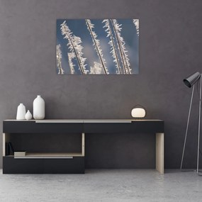 Tablou - Îngheț (90x60 cm)