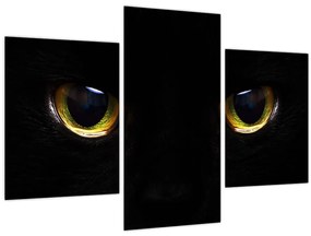 Tablou - Ochi de pisică (90x60 cm)