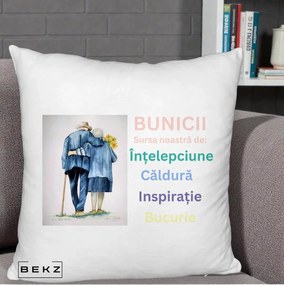Cadou pentru Bunici - Perna Personalizata Bunicii Sursa Intelepciune Caldura Acuarela, 40x40 cm, Alb Pufos, Husa Detasabila, Perna Inclusa, BEKZ®