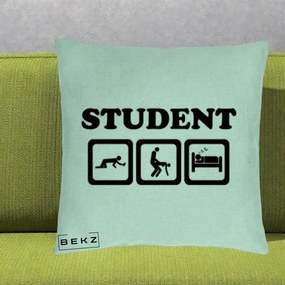 Perna Decorativa Student Life, 40x40 cm, Verde Menta, Husa Detasabila, Perna Inclusa, BEKZ®