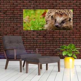 Tablou cu arici (120x50 cm)