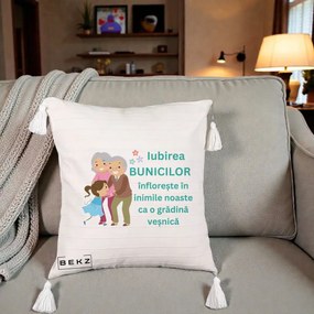 Cadou pentru Bunici - Perna Personalizata Bunicii Iubirea Infloreste cu Nepoata Teal, 40x40 cm, Bej cu Franjuri, Husa Detasabila, Perna Inclusa, BEKZ®