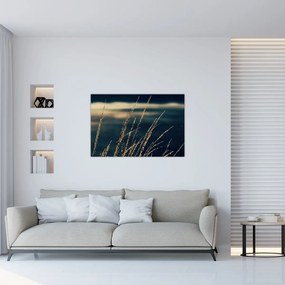 Tablou cu ierburi (90x60 cm)