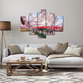 Tablou - Hirosaki, Japonia (150x105 cm)