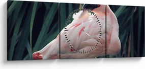 Tablou - Pasărea Flamengo (cu ceas) (90x30 cm)