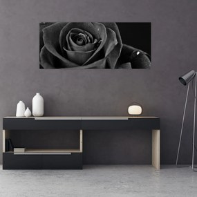 Tablou - Trandafir roșu aprins (120x50 cm)