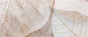 Tablou - Frunze bej (120x50 cm)