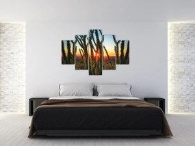 Tablou - Plante (150x105 cm)