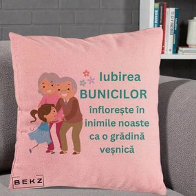 Cadou pentru Bunici - Perna Personalizata Bunicii Iubirea Infloreste cu Nepoata Teal, 40x40 cm, Roz, Husa Detasabila, Perna Inclusa, BEKZ®