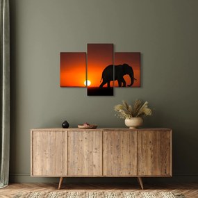 Tablou cu elefant în apus de soare (90x60 cm)