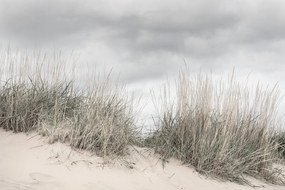Fototapet, Pale Shore, Rebel Walls