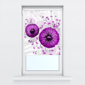 Fotojaluzele R015448R42150 (42x150 cm)