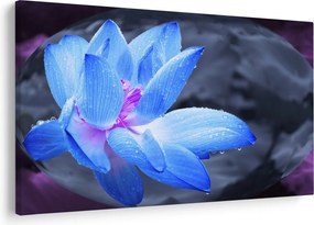 Tablou florilor în detailu (90x60 cm)