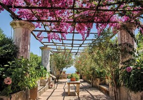 Fototapet - Terasa cu pergola cu flori (254x184 cm)
