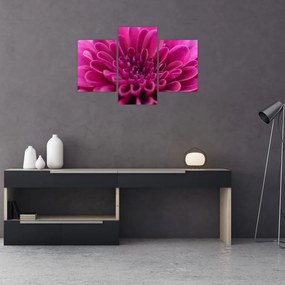 Tablou cu floare (90x60 cm)