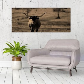 Tablou - Vacă din Texas (120x50 cm)