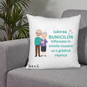 Cadou pentru Bunici - Perna Personalizata Bunicii Iubirea Infloreste Cuplu Senior Teal, 40x40 cm, Alb Pufos, Husa Detasabila, Perna Inclusa, BEKZ®