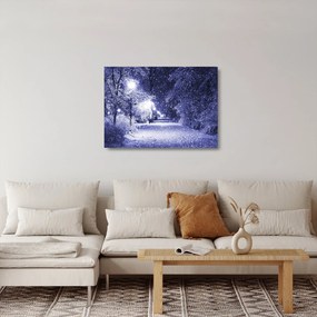 Tablou pe sticlă - Noaptea magică de iarnă (70x50 cm)