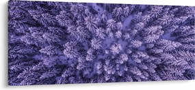 Tablou cu copacii înzăpeziți (120x50 cm)