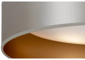 Plafonieră LED Duolla ROLLER LED/24W/230V d. 45 cm argintiu/auriu