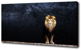 Tablou pe pânză canvas Leul pe fondul de stele