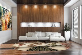Covor Modern Lotos Fluturi 1607 Oval