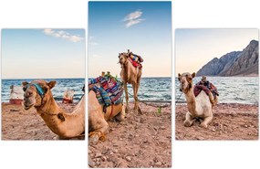 Tablou cu cămile (90x60 cm)
