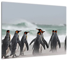 Tablou pinguini în ocean (70x50 cm), în 40 de alte dimensiuni noi