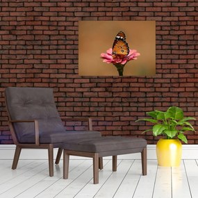 Tablou cu fluture pe floare (70x50 cm)
