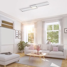 Paul Neuhaus 8371-55 - Lumină de tavan cu LED Dimmer AMARA LED/40W/230V + telecomandă